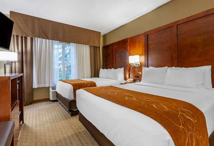 בית מלון כפרי Comfort Suites