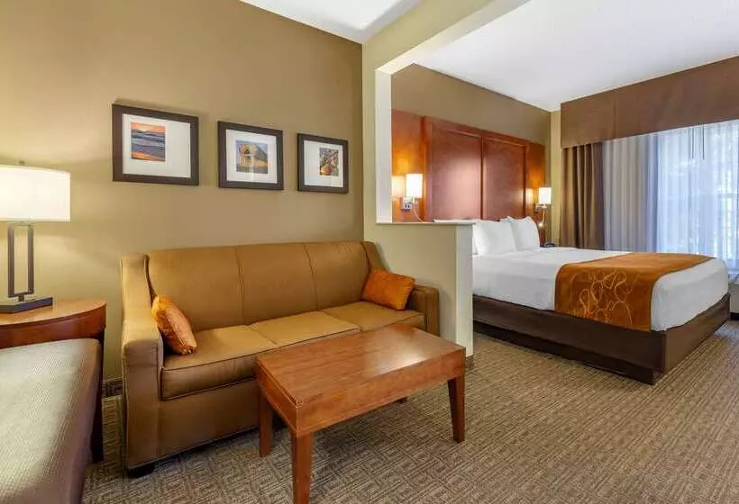 בית מלון כפרי Comfort Suites