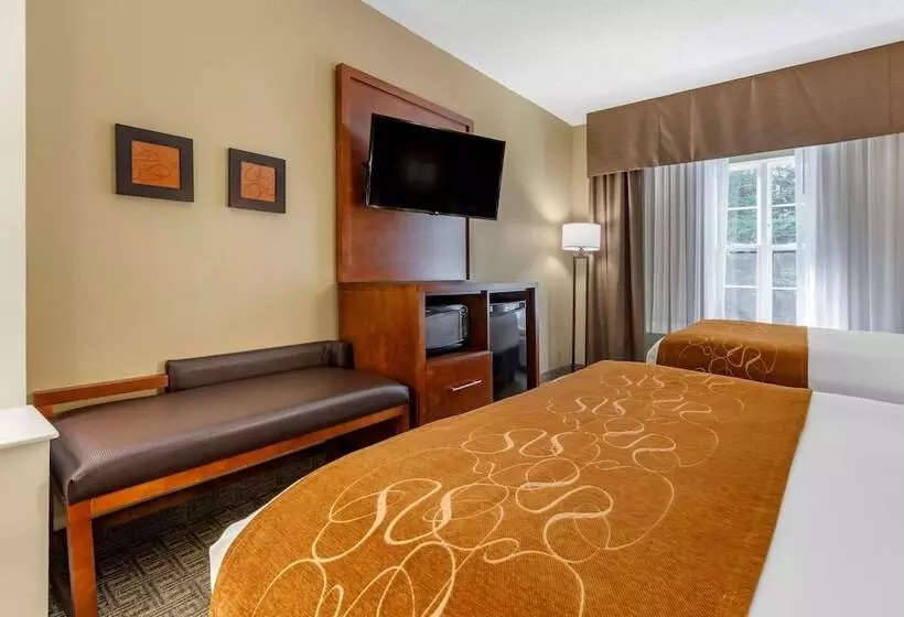 בית מלון כפרי Comfort Suites