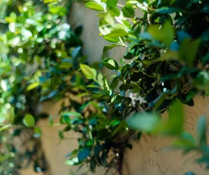 Отель Escalante