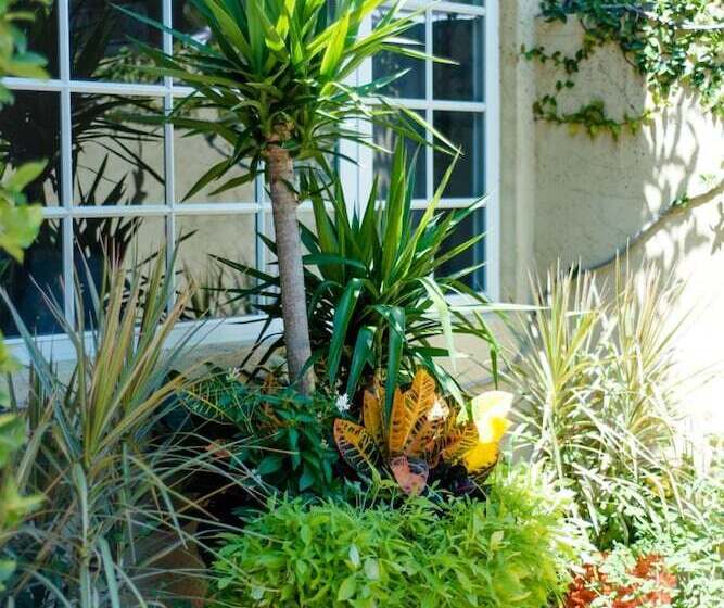 בית מלון כפרי Escalante