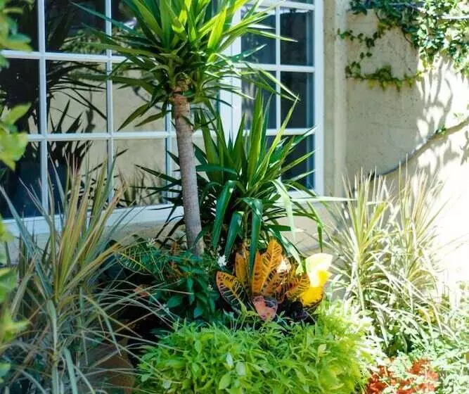 Отель Escalante