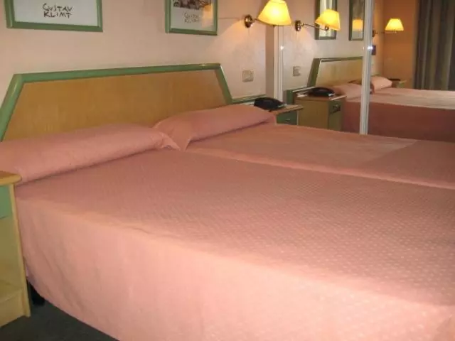 호텔 Puente Romano