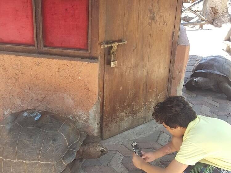 酒店 Imani Beach Villa