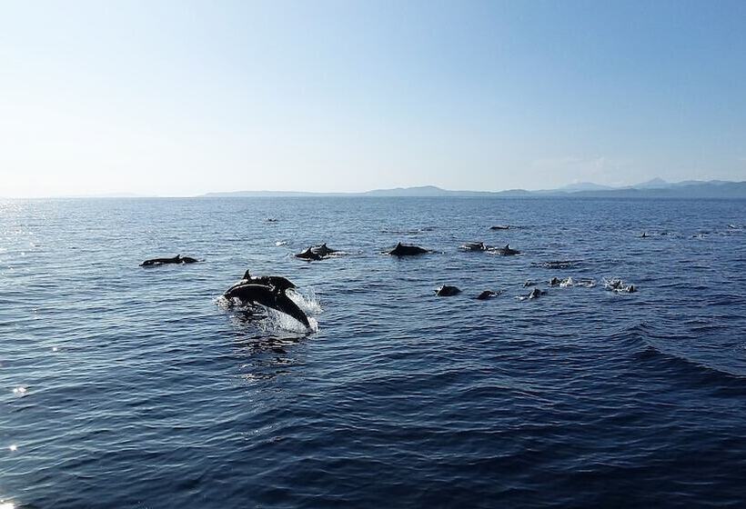 Szálloda Onong Resort