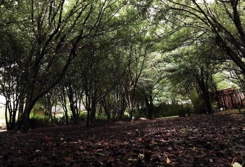 Bosques Del Sol Suites