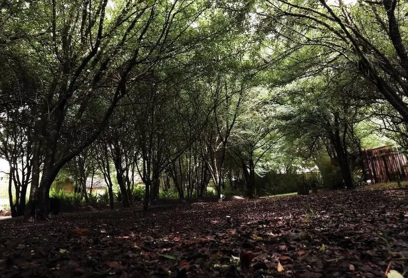 Bosques Del Sol Suites