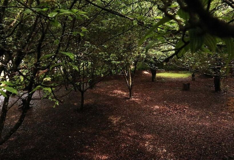 Bosques Del Sol Suites