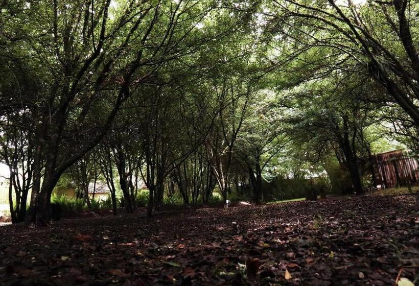 Bosques Del Sol Suites