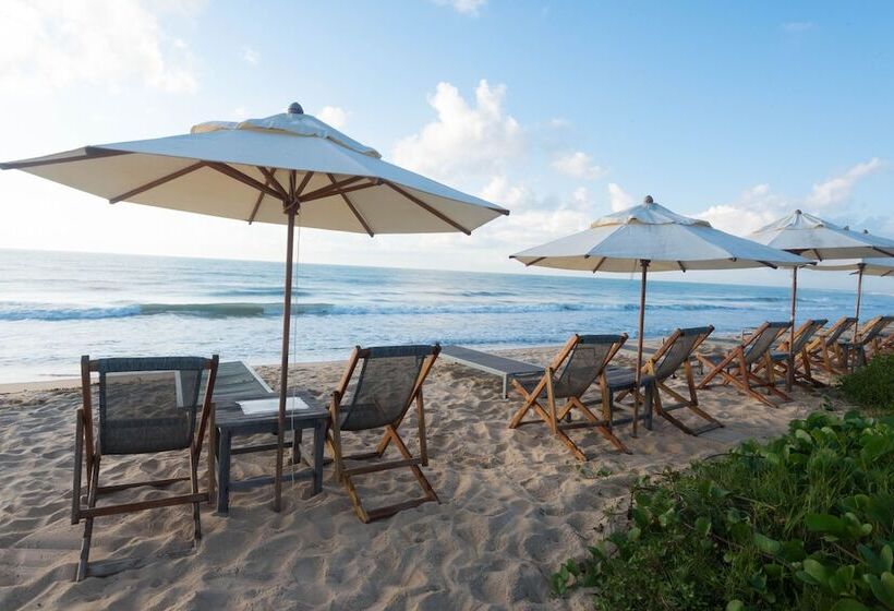 酒店 Pousada Estrela D  Agua