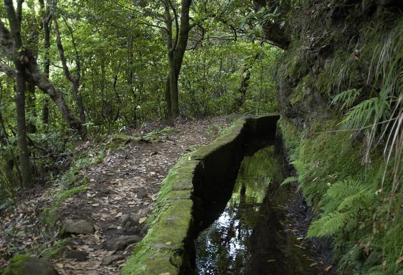 Madeira Bright Star By Petit Hotels