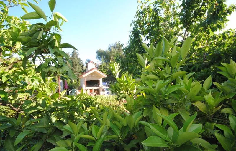 فندق Perkovic Ana