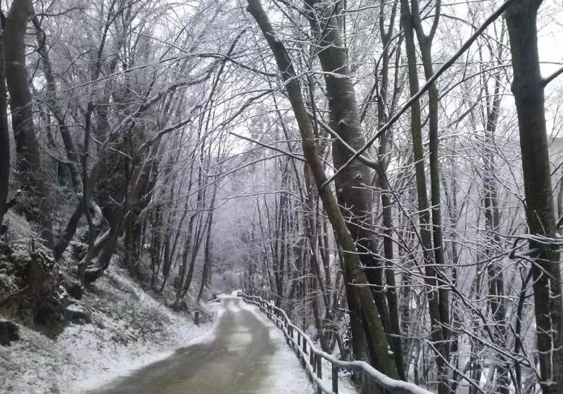 乡村酒店  El Molino del Puente