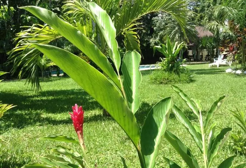 فندق Samara Beach