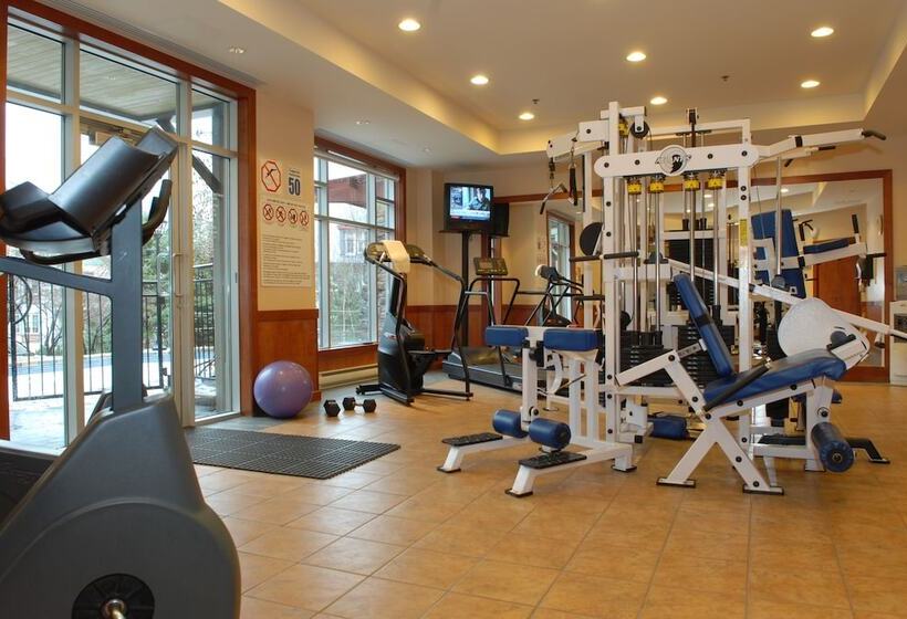 فندق Sommet Des Neiges