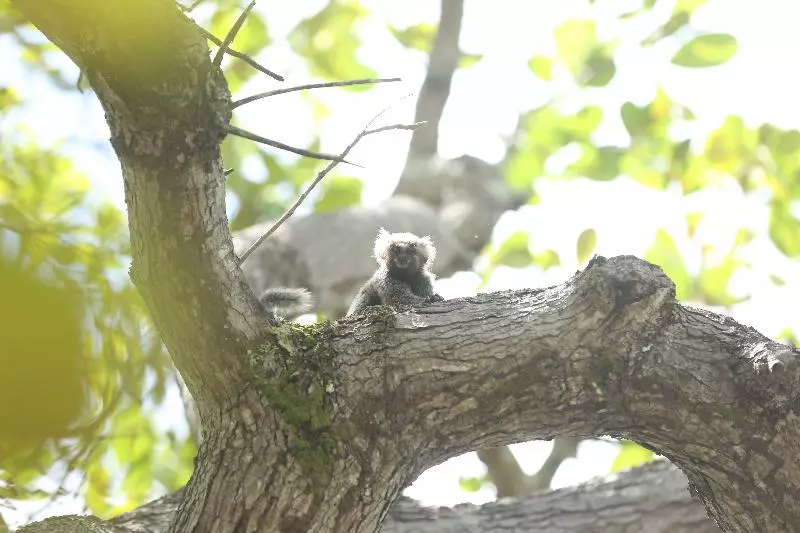 ホテル Sun Bay Pipa Hoteis