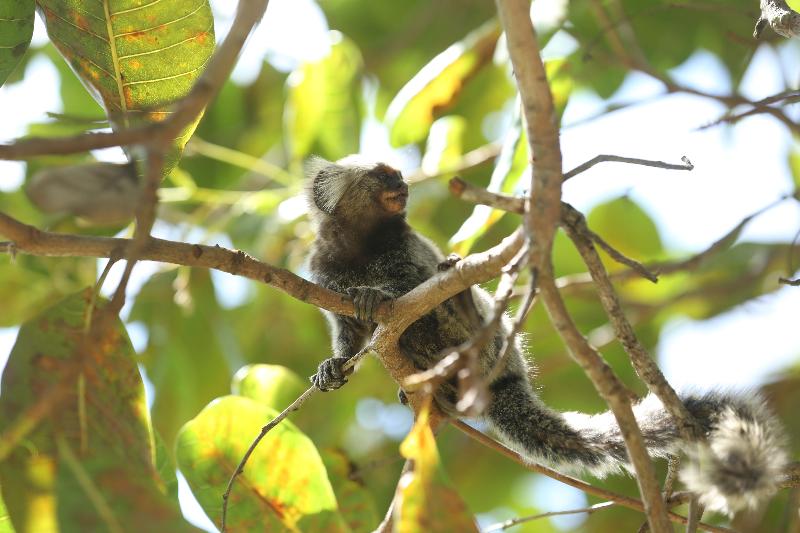 هتل Sun Bay Pipa Hoteis