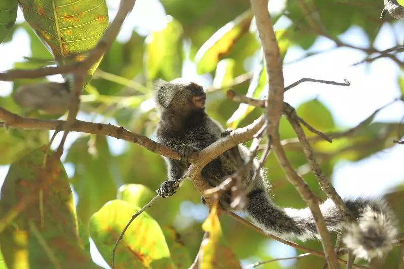 ホテル Sun Bay Pipa Hoteis