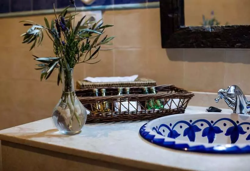 Hotel Fuente Del Sol