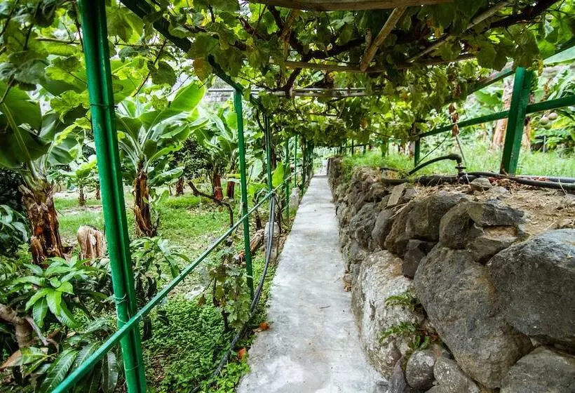 Apartamentos Los Telares