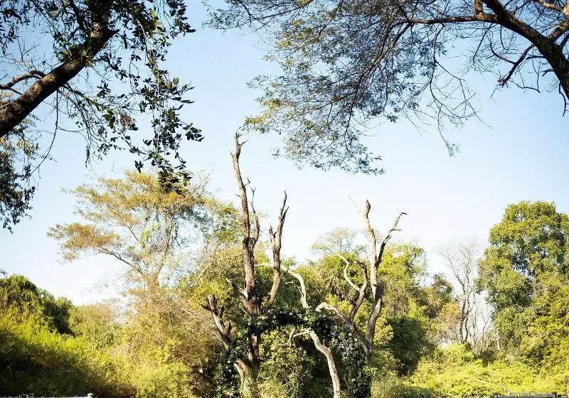 Avani Victoria Falls Resort