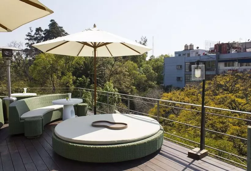 Condesa Df, Mexico City, A Member Of Design Hotels
