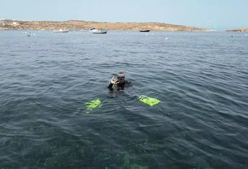 هتل Gillieru Harbour