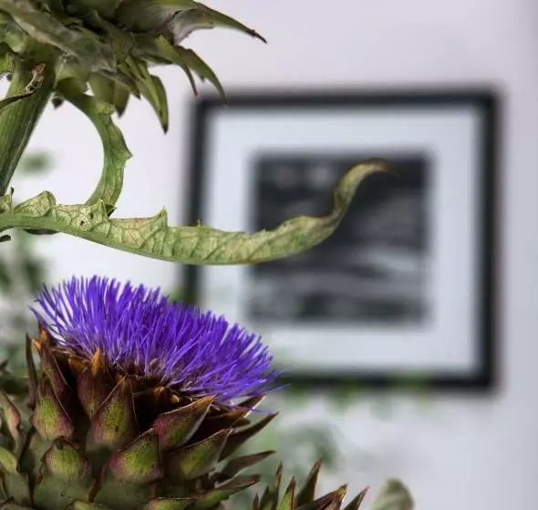 בית מלון כפרי Relais Blu