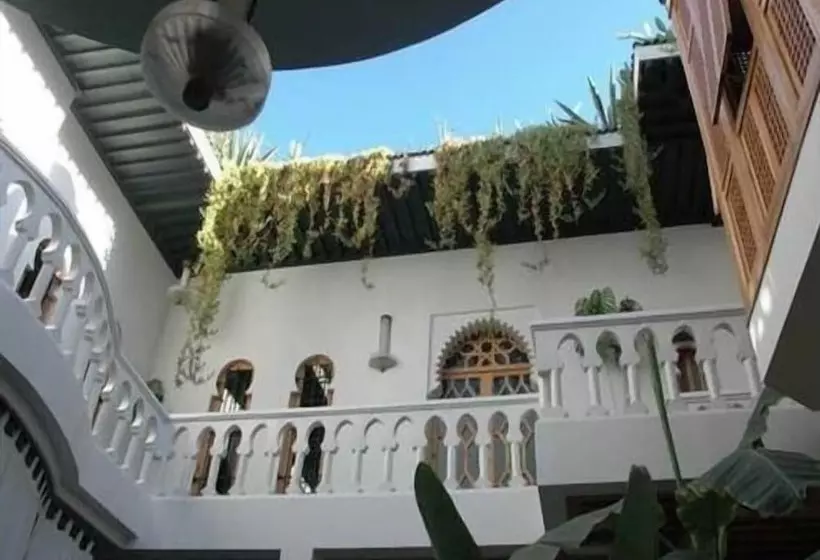 Riad Moucharabieh Matisse