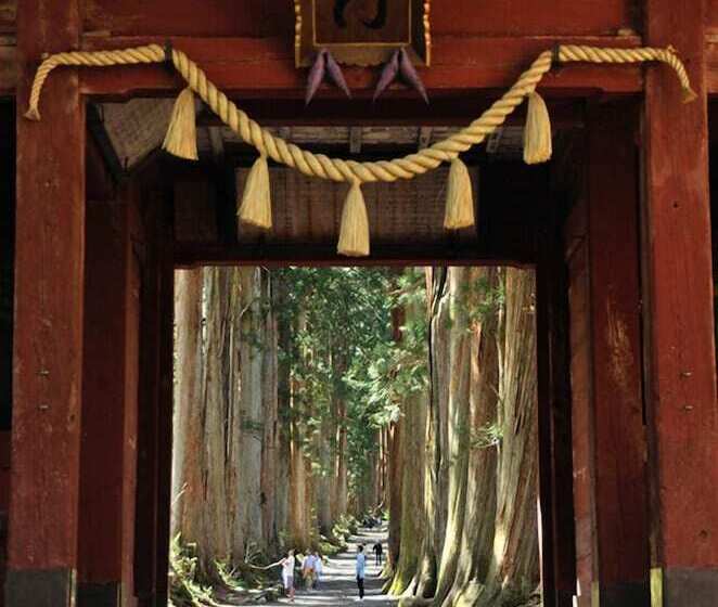 هاستل Myoko Forest Lodge