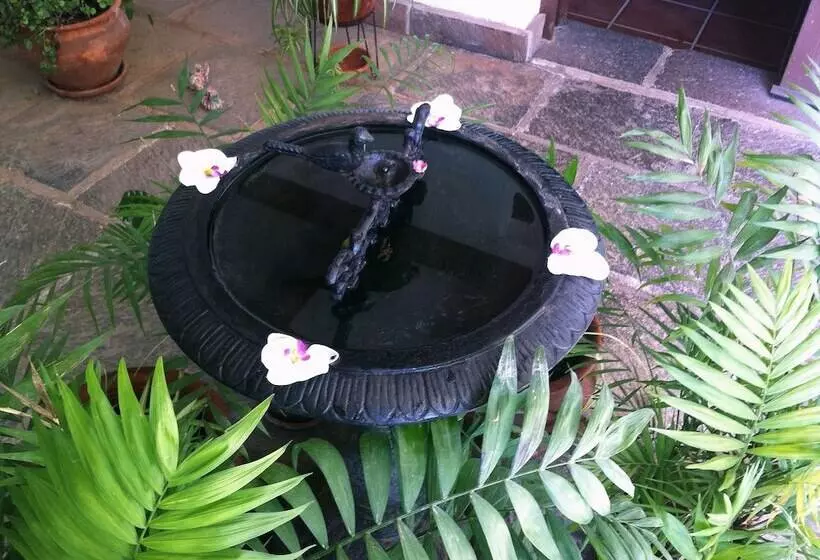 Eco Finca Vista Bonita