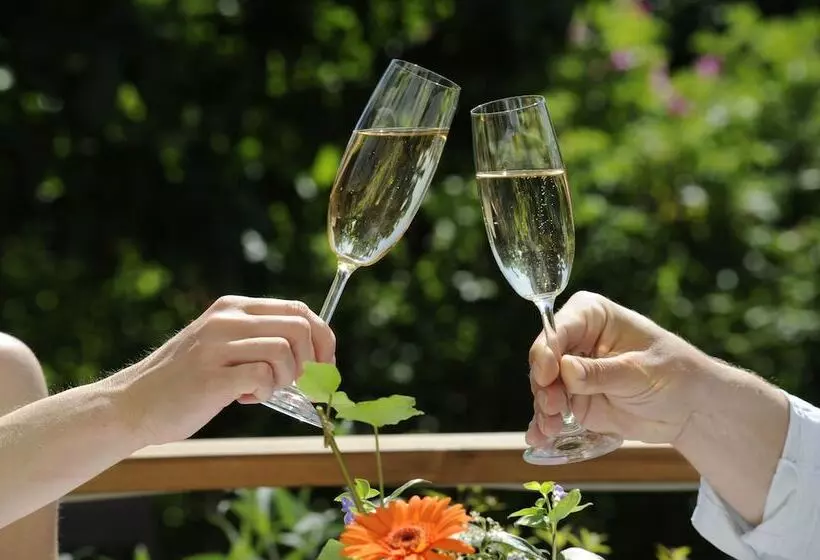 בית מלון כפרי Godewind