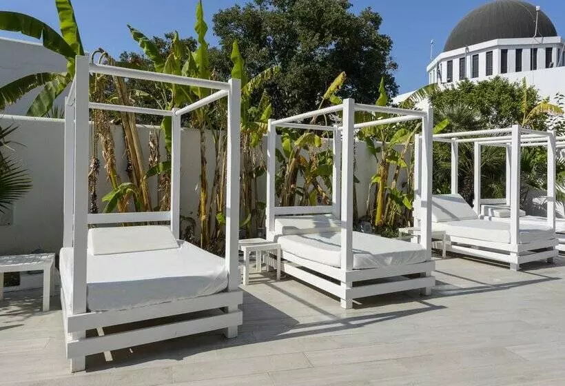 Szálloda Vibra Marco Polo II - Adults Only