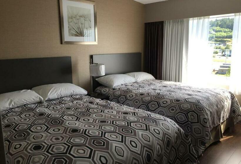 فندق Dalewood Inn