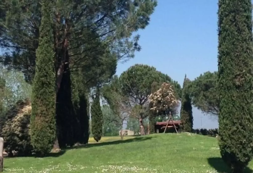 Отель Agriturismo Settepassi Tuscany