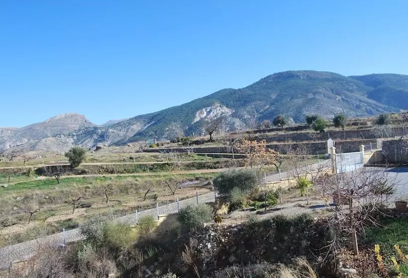 乡村酒店 La Encina Centenaria