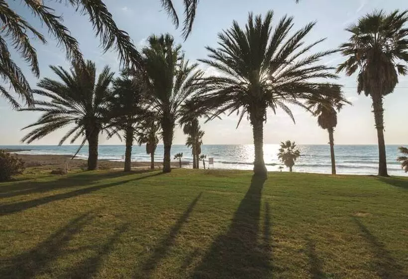 فندق Venus Beach