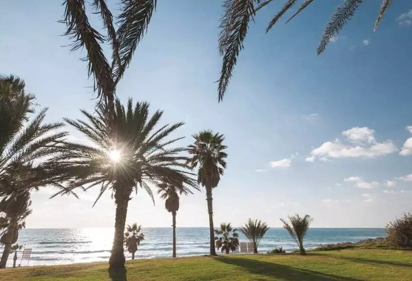 فندق Venus Beach