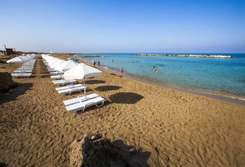 فندق Venus Beach