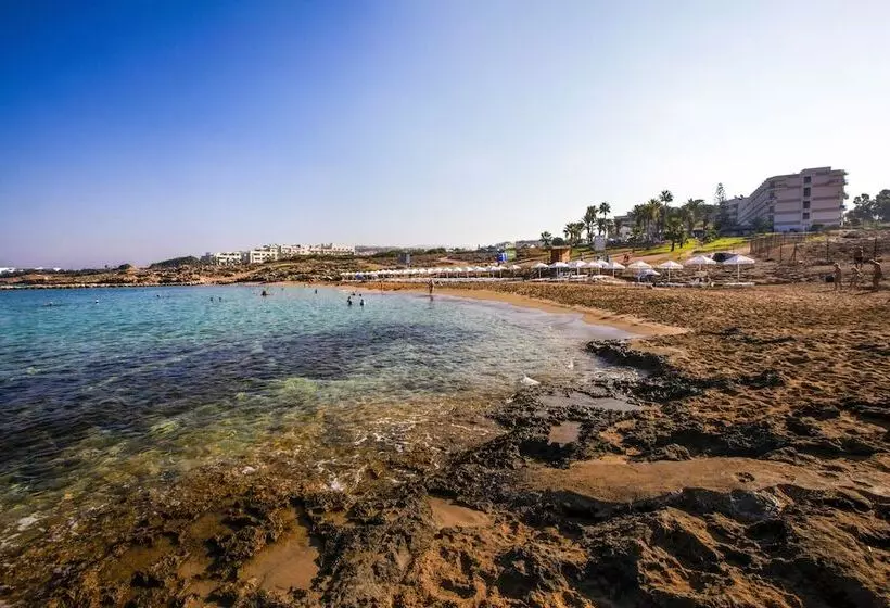 فندق Venus Beach