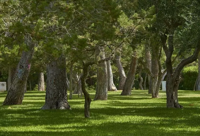 Apartamentos Cala d'Or Playa