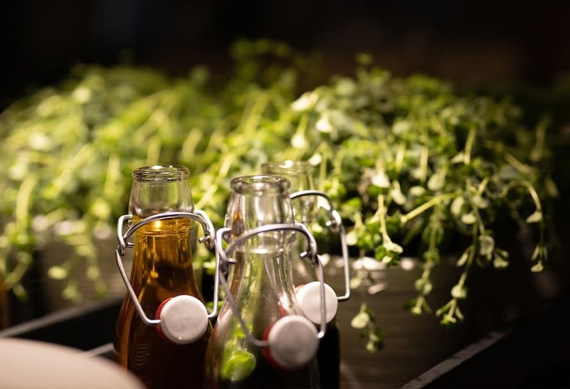 Bristol Hotel   Frankfurt City