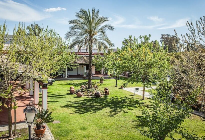 ホテル Complejo Pequeño Rocío   Hostel