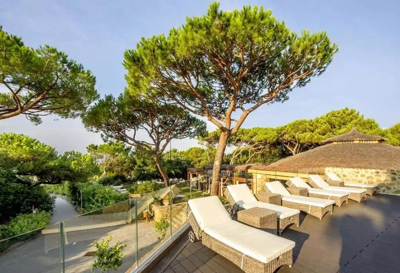 Отель Roccamare Resort   Ville E Appartamenti