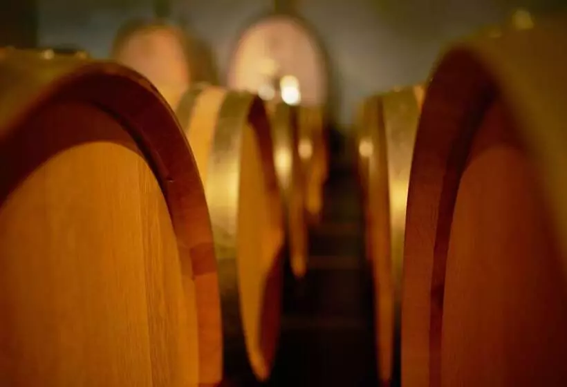 호텔 Adler Spa Resort Thermae