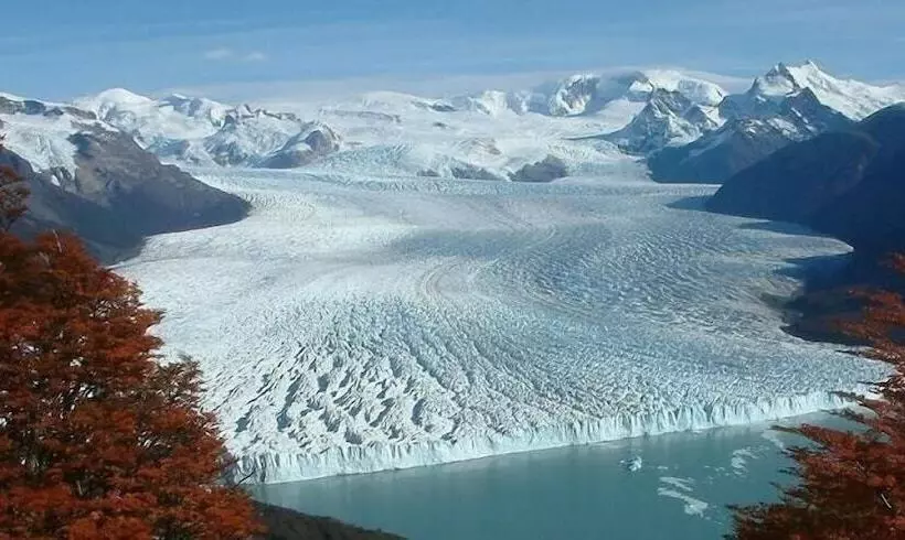 فندق Alto Calafate