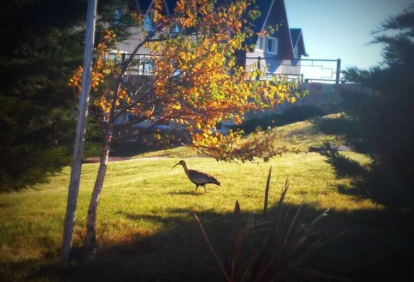 هتل Alto Calafate