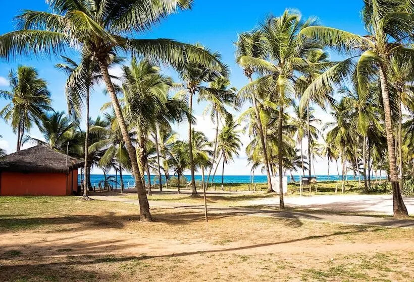 فندق Bahia Plaza