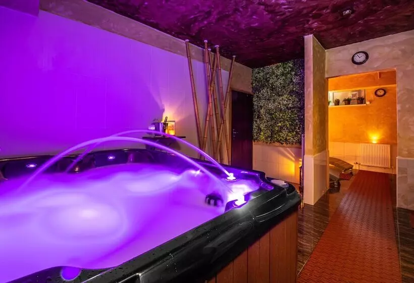 Premium Business Hotel Bratislava