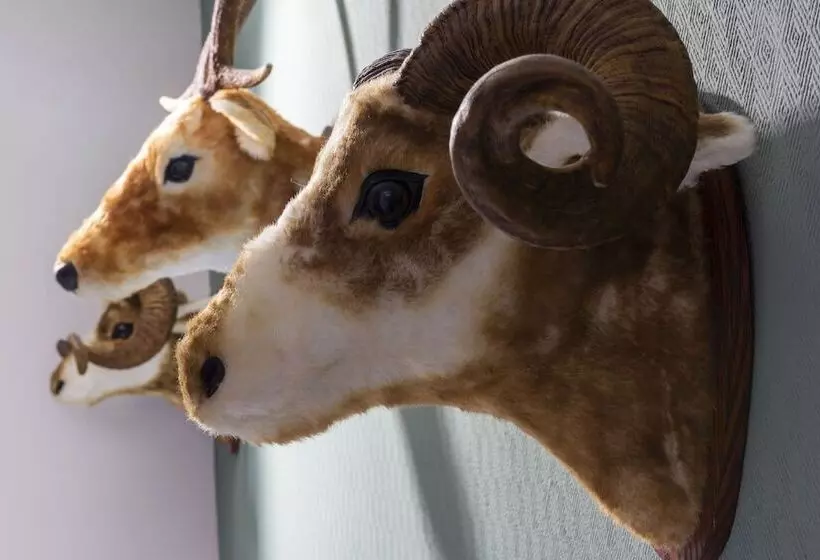 ホテル Wyndham Garden Donaueschingen